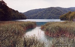 04.jpg  04